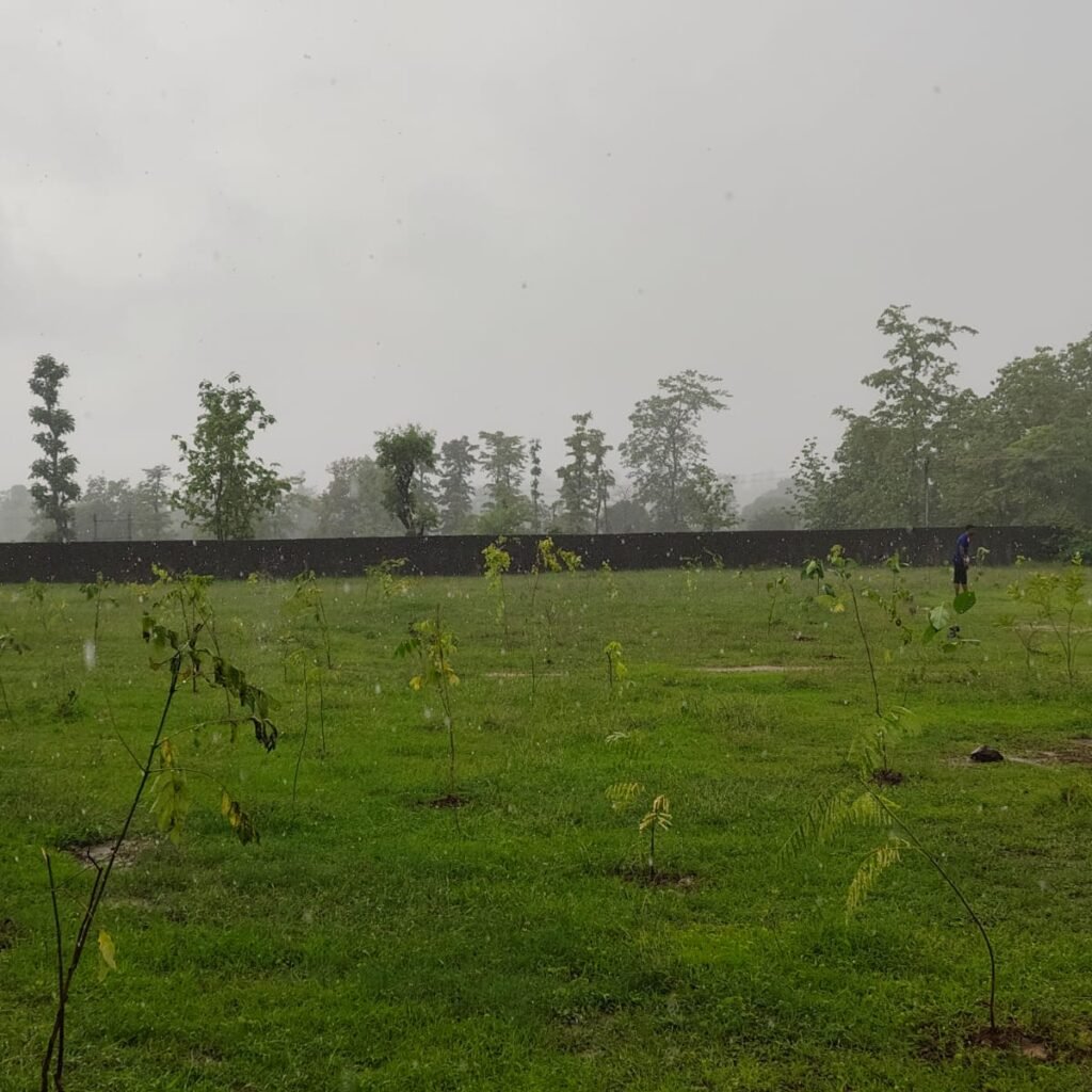 WhatsApp Image 2026-07-19 at 5.52.29 PM (1)